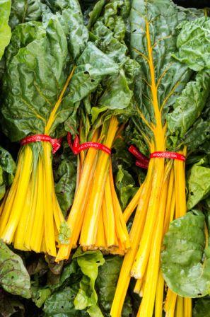 Organic Golden Chard, Beta vulgaris